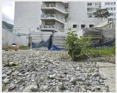  2025Ÿ��101441  �������