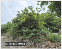  2025Ÿ��101442 �λ� ������ ������ ��11       ����(�Ӿ�)���