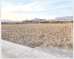  2025Ÿ��595  ����