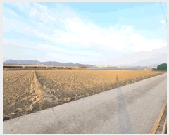  2025Ÿ��595  ����