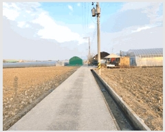  2025Ÿ��595  ����