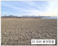  2025Ÿ��595  ����