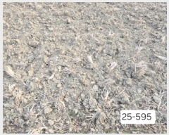  2025Ÿ��595  ����