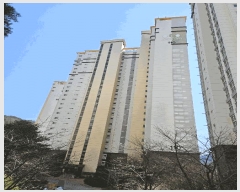  2025Ÿ��724  ����Ʈ���