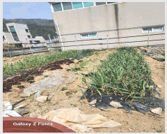  2025Ÿ��1185 �λ� ������ ��굿 1326-8       ����(����)���