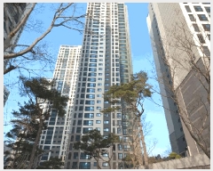  2025Ÿ101114 λ ϱ ȭ 2341 ȭǪ츮Ʈ 106 5503ȣ    Ʈ