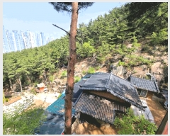  2025Ÿ��101291  �Ӿ߰��