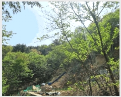  2025Ÿ��101291  �Ӿ߰��