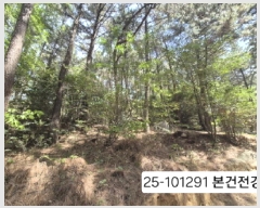  2025Ÿ��101291  �Ӿ߰��