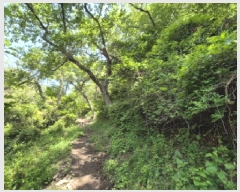  2025Ÿ��101359 �λ� ���ϱ� ��õ�� ��72       ����(�Ӿ�)���