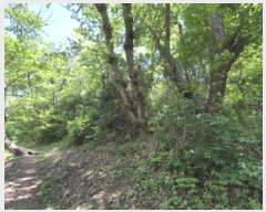  2025Ÿ��101359 �λ� ���ϱ� ��õ�� ��72       ����(�Ӿ�)���