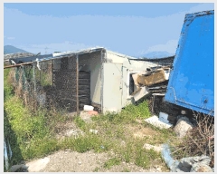  2025Ÿ��101376  ����