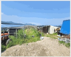  2025Ÿ��101376  ����