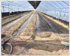  2025Ÿ��120  ����