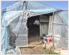  2025Ÿ��120  ����