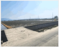  2025Ÿ��101378 �λ� ������ ������ 921-1       ����(��)���