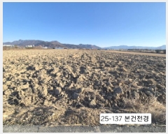  2025Ÿ��137  ����