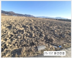  2025Ÿ��137  ����