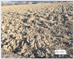  2025Ÿ��137  ����