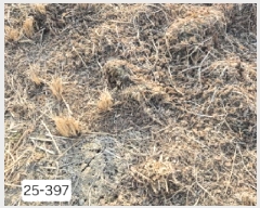  2025Ÿ��397 �λ� ������ ����1�� 3702-1       ����(��)���