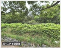  2025Ÿ��1727 �λ� ������ ���絿 ��190-1       ����(�Ӿ�)���