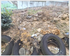  2025Ÿ��100358  �������