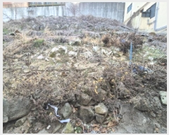  2025Ÿ��100358  �������