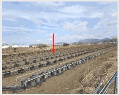  2025Ÿ��101090 �λ� ������ ����2�� 513-48       ����(��)���