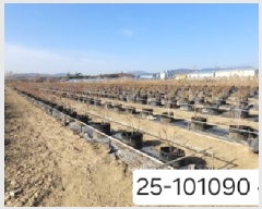  2025Ÿ��101090 �λ� ������ ����2�� 513-48       ����(��)���