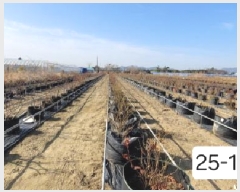  2025Ÿ��101090 �λ� ������ ����2�� 513-48       ����(��)���