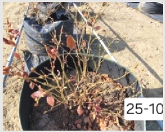  2025Ÿ��101090 �λ� ������ ����2�� 513-48       ����(��)���