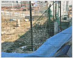  2025Ÿ��101163 �λ� ���� ���ιε� 26-11       ����(����)���