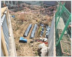  2025Ÿ��101163 �λ� ���� ���ιε� 26-11       ����(����)���