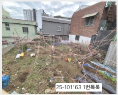  2025Ÿ��101163 �λ� ���� ���ιε� 26-11       ����(����)���