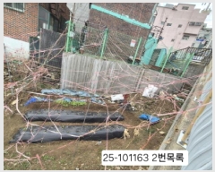  2025Ÿ��101163 �λ� ���� ���ιε� 26-11       ����(����)���