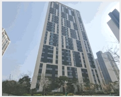  2025Ÿ��101219 �λ� ���ϱ� ���� 517 �����Ѽ������ 109�� 8��806ȣ    ����Ʈ���