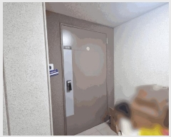  2025Ÿ��101219 �λ� ���ϱ� ���� 517 �����Ѽ������ 109�� 8��806ȣ    ����Ʈ���