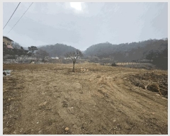  2025Ÿ��850 ��� ���� ���Ǹ� õ�ȸ� 206      ����(��)���