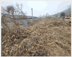  2025Ÿ��850 ��� ���� ���Ǹ� õ�ȸ� 206      ����(��)���