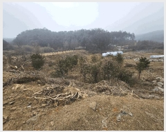  2025Ÿ��850 ��� ���� ���Ǹ� õ�ȸ� 206      ����(��)���