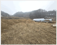  2025Ÿ��850 ��� ���� ���Ǹ� õ�ȸ� 206      ����(��)���