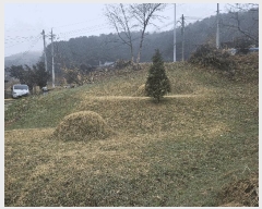  2025Ÿ��850 ��� ���� ���Ǹ� õ�ȸ� 206      ����(��)���