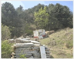  2025Ÿ��1167 ��� �����ֽ� ������ ������ ��77-36      ����(�Ӿ�)���