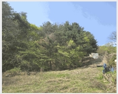  2025Ÿ��1167 ��� �����ֽ� ������ ������ ��77-36      ����(�Ӿ�)���