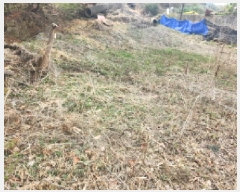  2025Ÿ��1167 ��� �����ֽ� ������ ������ ��77-36      ����(�Ӿ�)���