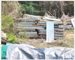  2025Ÿ��1167 ��� �����ֽ� ������ ������ ��77-36      ����(�Ӿ�)���