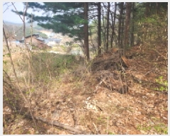  2025Ÿ��1167 ��� �����ֽ� ������ ������ ��77-36      ����(�Ӿ�)���