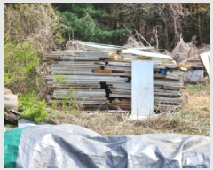  2025Ÿ��1167 ��� �����ֽ� ������ ������ ��77-36      ����(�Ӿ�)���