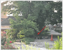  2025Ÿ��1990  ���ð��