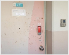  2025Ÿ��3194  ����Ʈ���